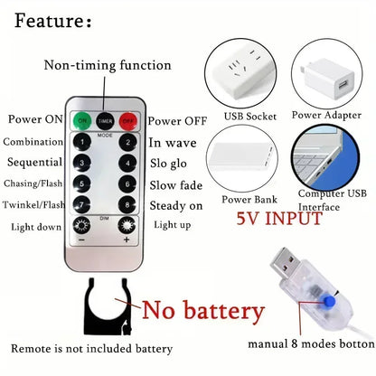 LED Curtain String Lights with Remote, USB 5V Fairy Lights with 8 Modes, Six Color Options and 100–600 LEDs for Bedroom, Wedding and Christmas Decor