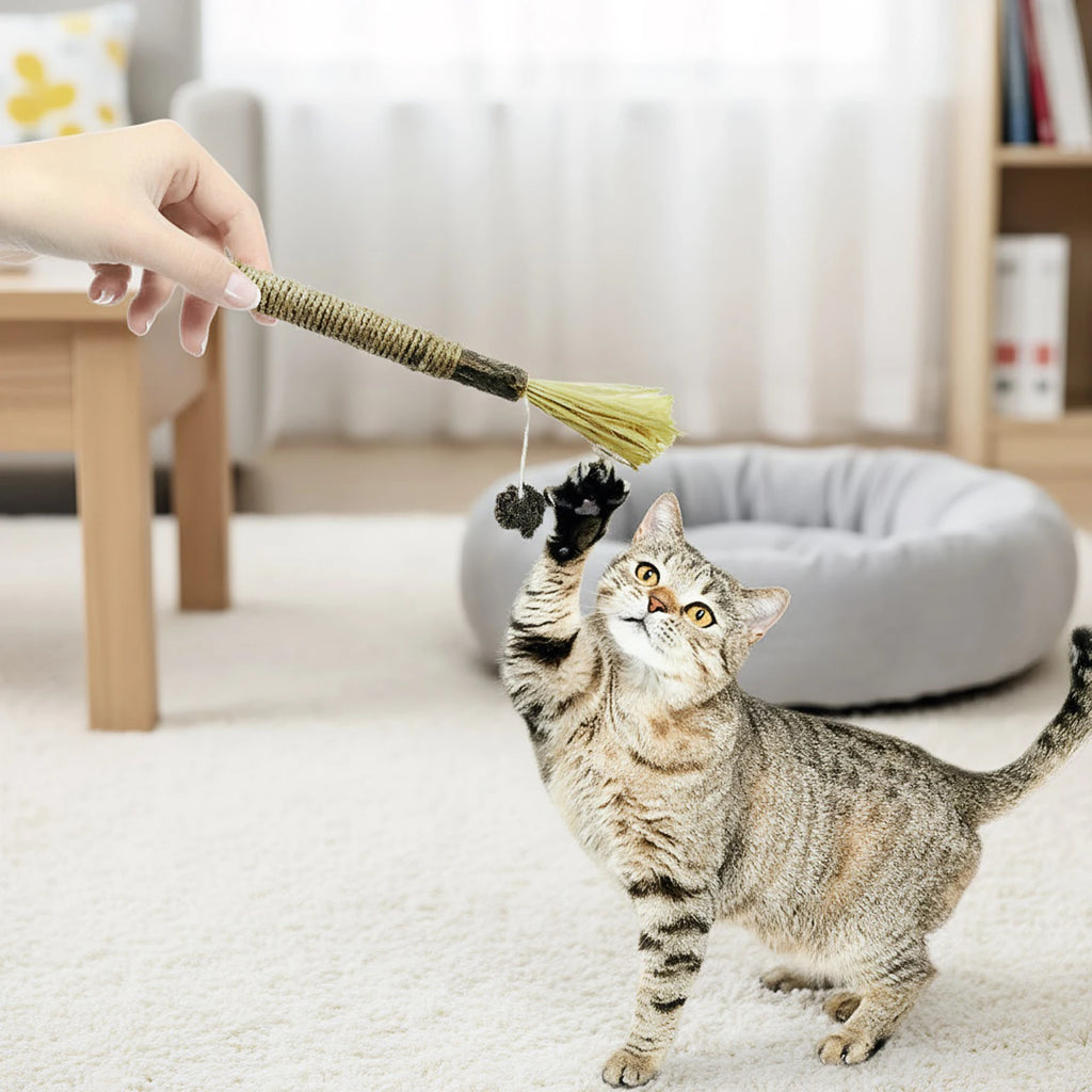 Silvervine Cat Sticks with Hemp Rope, Natural Wood Pet Play Toys for Supervised Indoor Exploration and Interactive Sessions, Pack Options from 3 to 20 Pieces