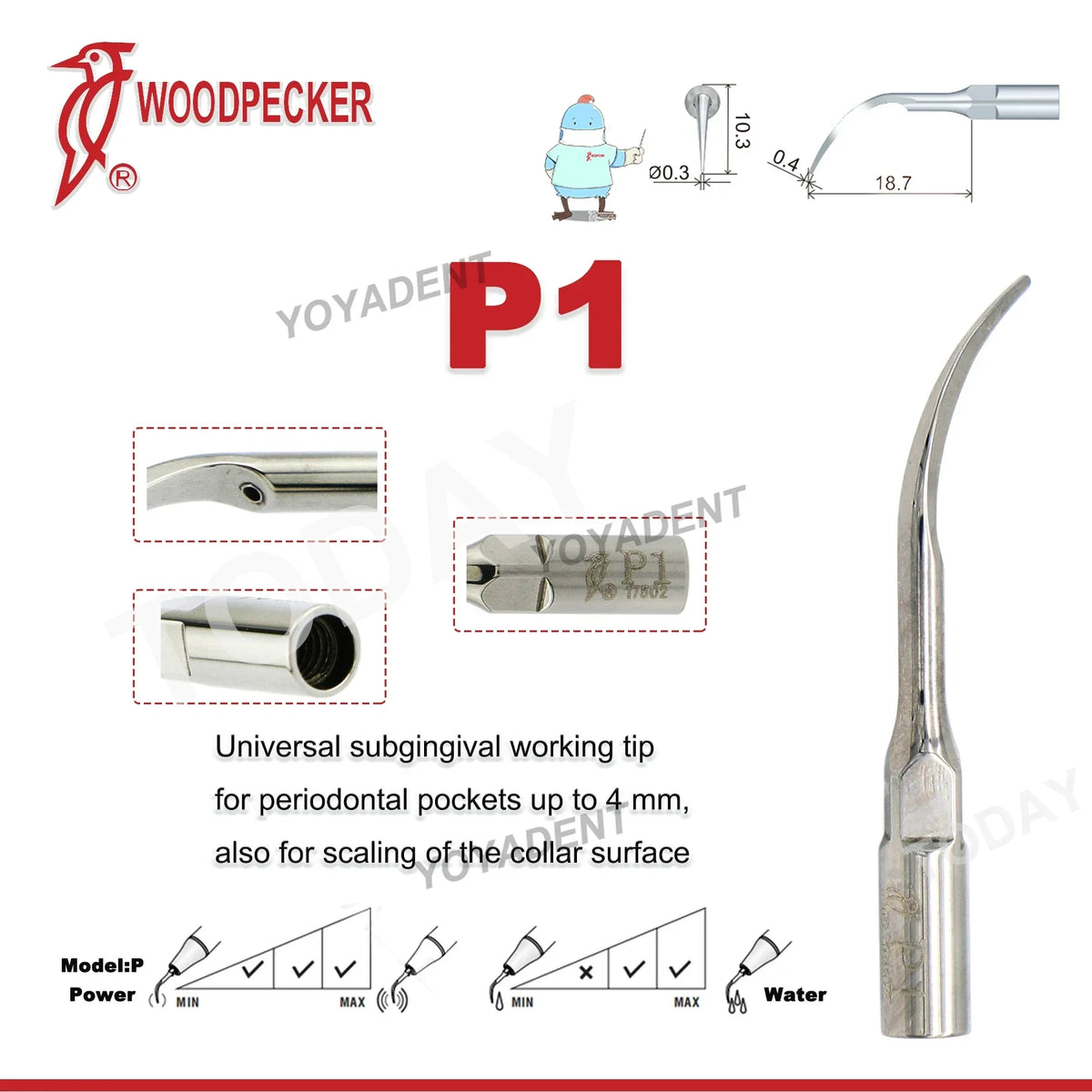 Ultrasonic Scaler Handpiece and Tip Options by Woodpecker, HW-5L LED Handpiece or P, E and G Series Tips for Compatible Dental Equipment