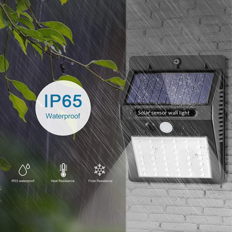 Outdoor Solar Wall Light Options for Garden Fences, Courtyards and Exterior Walls, with Listed 6-LED Non-Sensor and 30-LED PIR Motion Sensor Designs