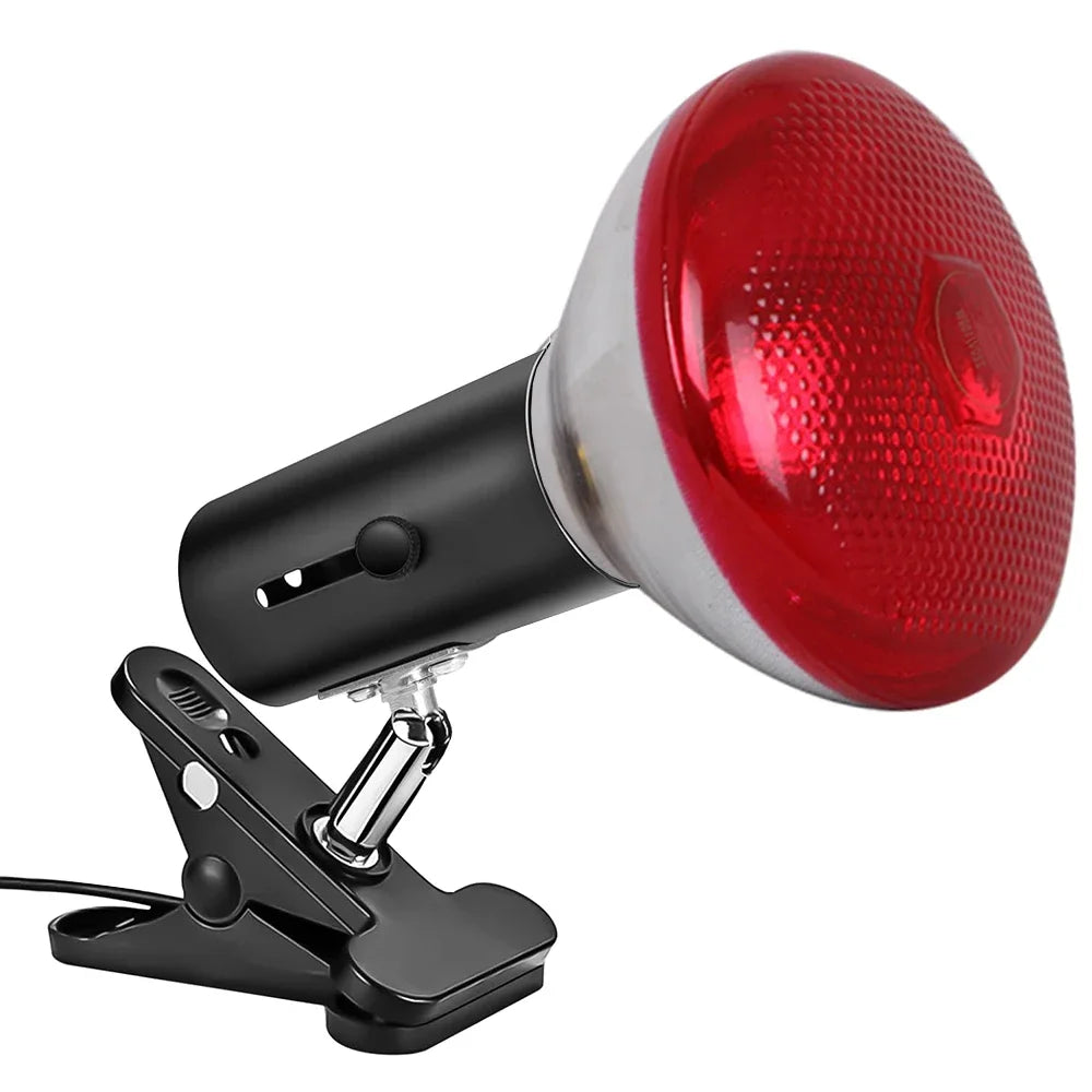 Red Light LED Lamp with A and B Bulb-Only or Black and White Set Options, Listed 660nm and 850nm Wavelengths and Dual-Chip Design for Adult Personal Care Selection