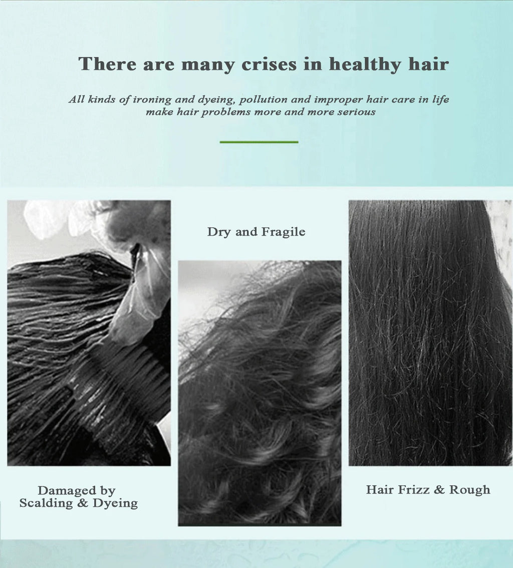 Zhangguang 101 Shampoo with Listed 500g Size, Hair Cleansing and Conditioner References for Label-Guided Personal Hair Care and At-Home Grooming Routines