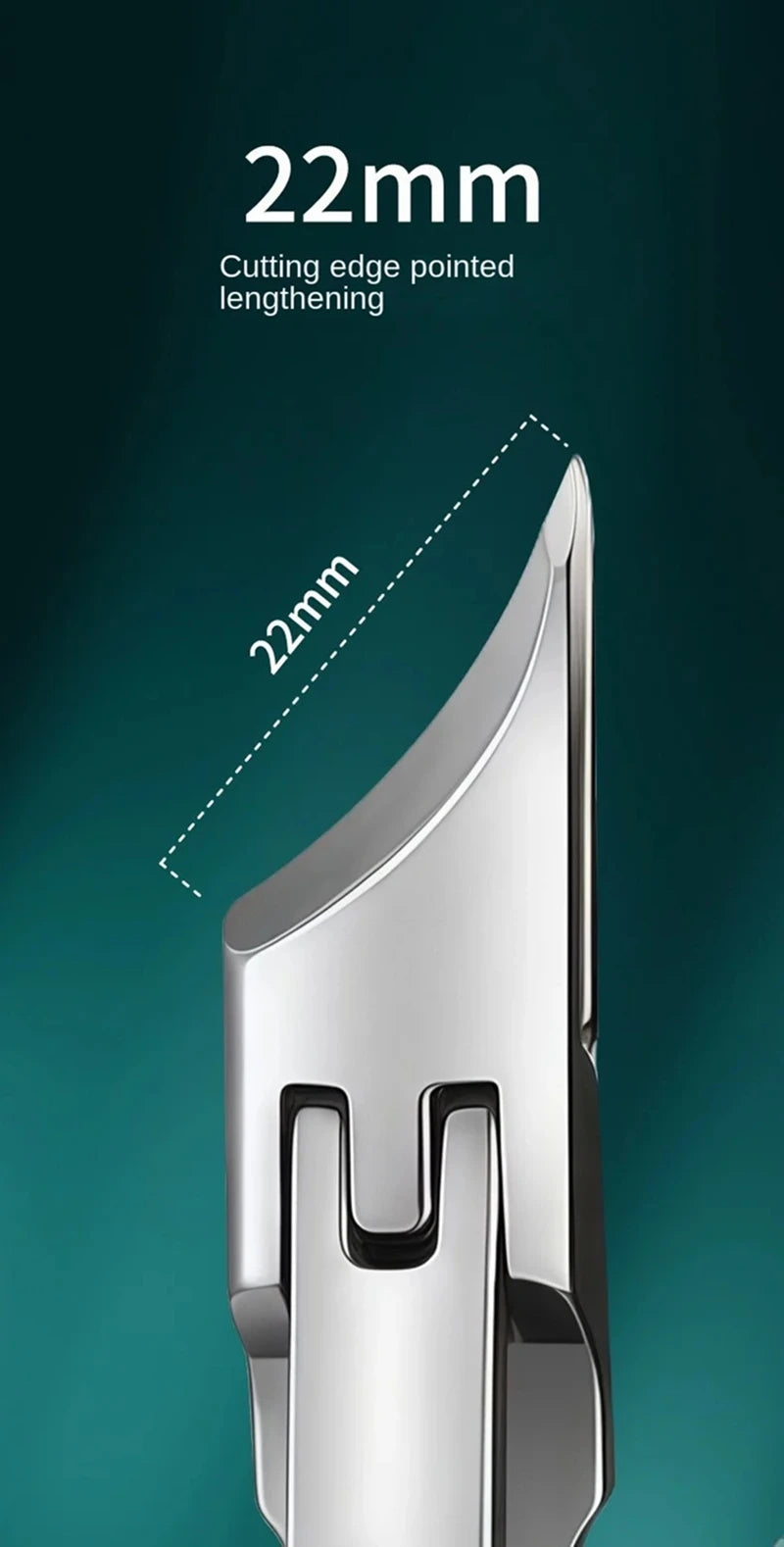 Slanted Toenail Clipper, Stainless Steel and PP Manual Nail Trimmer with Listed 10.2 x 1.8cm Size in Green or Black for Adult Home Pedicure Grooming