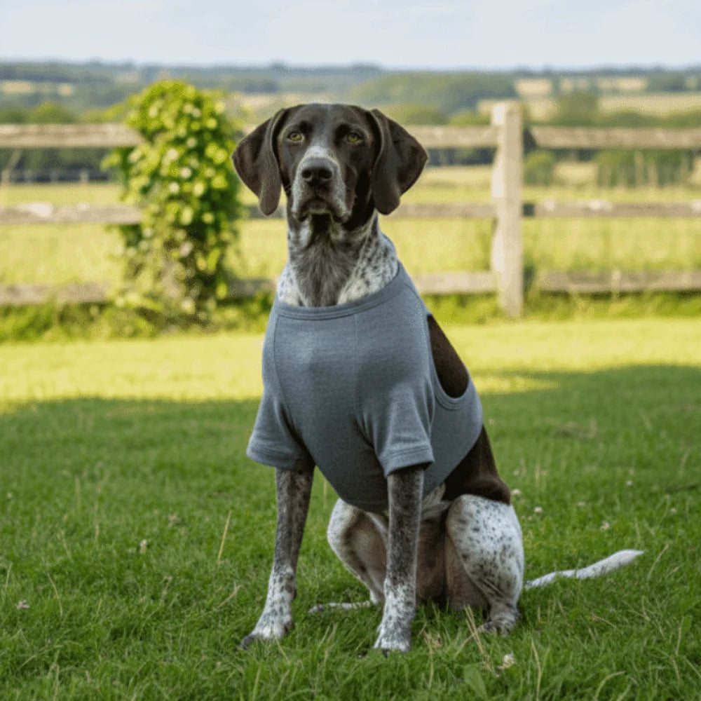 Dog Leg Sleeve in Grey Polyester, Single Stretch Fabric Pet Leg Cover with Six Size Options from S to 3XL and Chest, Neck and Sleeve Measurement Guide