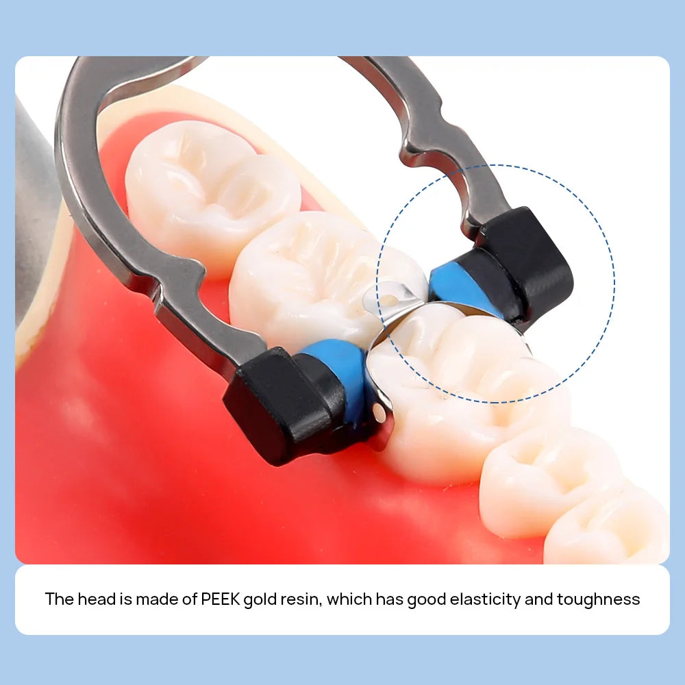 Dental Sectional Matrix Ring Options by AZDENT, Nickel-Titanium Clamping Rings with Silicone Contact Areas, Single and Combination Kit Selections