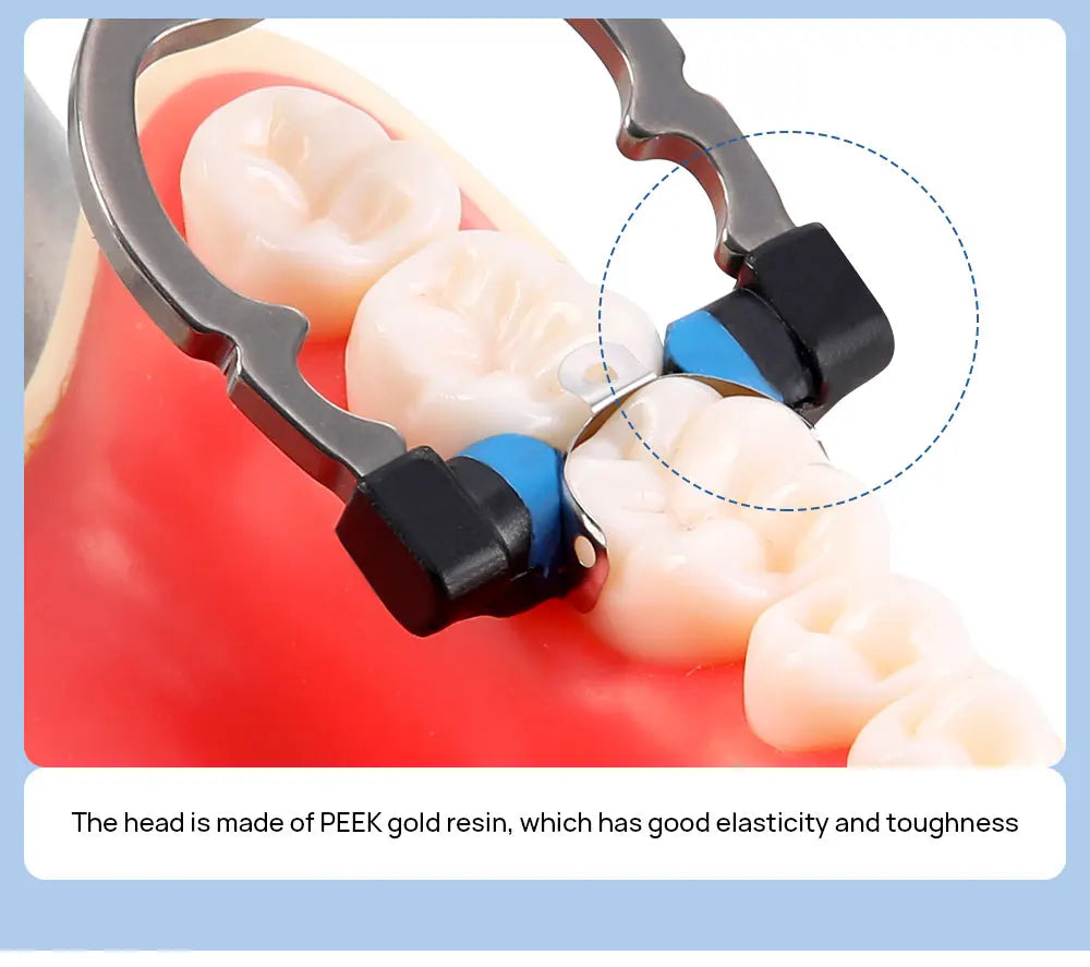 Dental Sectional Matrix Ring Options by AZDENT, Nickel-Titanium Clamping Rings with Silicone Contact Areas, Single and Combination Kit Selections