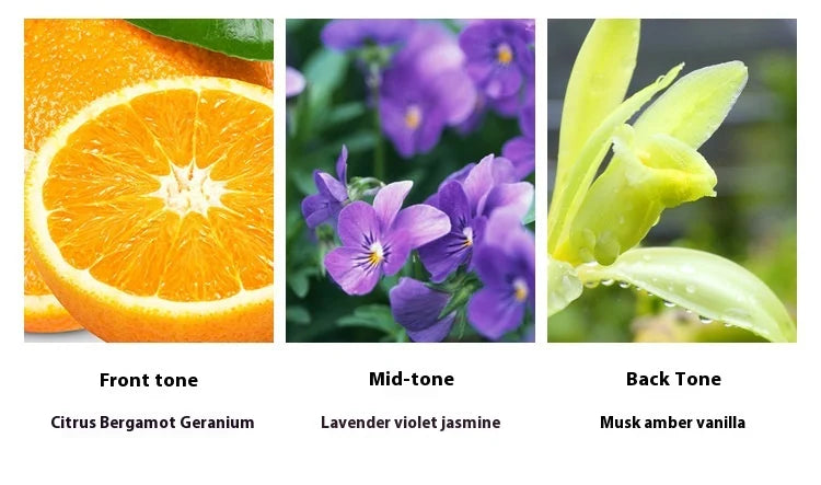 Men's Perfume Spray 75ml with Floral and Citrus Scent References, YT1775 Red or YT1776 Blue Personal Fragrance Options for Daily Wear and Evening Outings