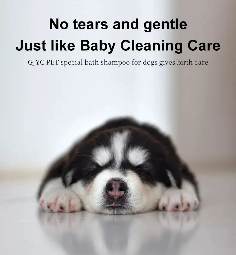 Pet Shampoo for Bath-Time Grooming, Dog 500ml and Cat 500ml Options Plus a 100ml Pet Shampoo Choice for At-Home Coat Cleaning Routines