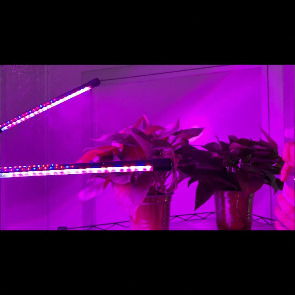 Tripod Grow Light for Indoor Plants with Remote Control, Auto On/Off Timer and Listed Red Blue White Spectrum, Four-Head or Five-Head Model Options