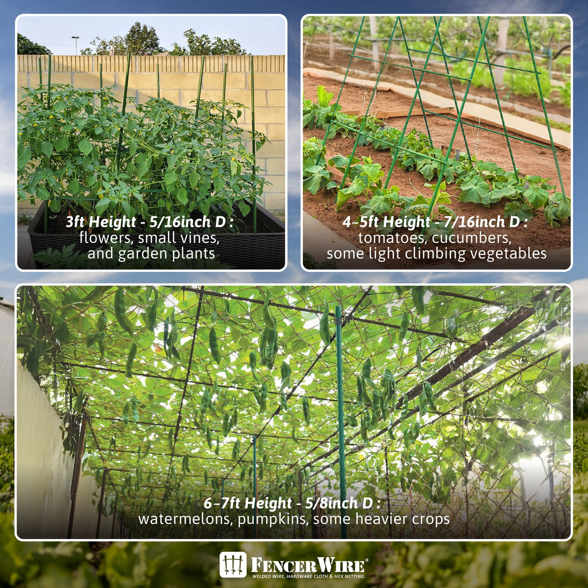 Metal Plant Support Stakes 25-Pack by CAPHAUS, Plastic-Coated Ridged Garden Poles in 3 to 7 Foot Options for Tomatoes, Beans, Cucumbers and Potted Plants