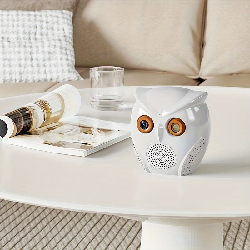 Owl Security Camera 2 Pack with USB Power, Listed HD Video, Human Detection and Wireless Monitoring for Home and Small Store Spaces