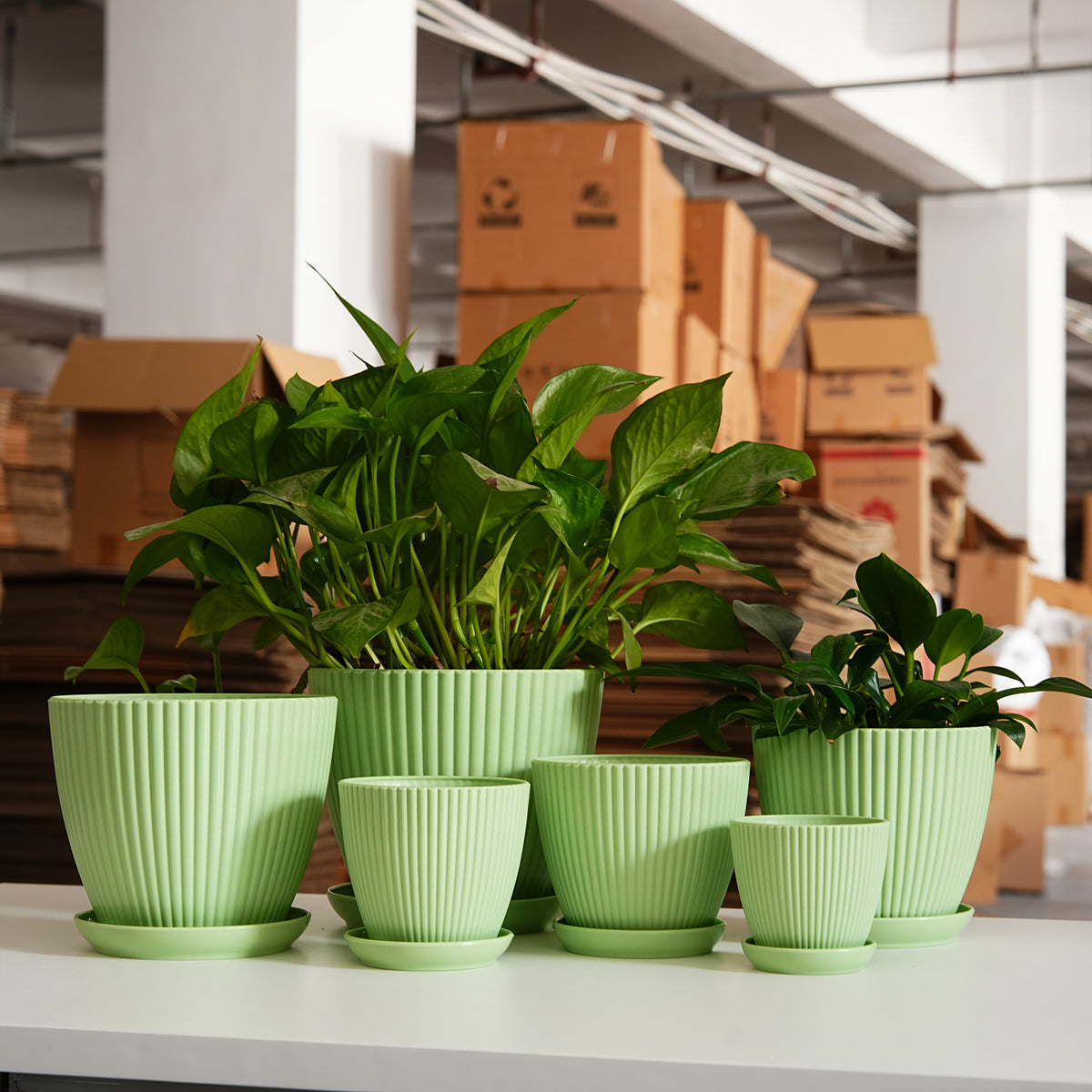 Resin Planter Pots Set with Listed Six-Pack Assortment and 3.5 to 7.5-Inch Size Labels, White, Light Green or Dark Blue Options for Indoor Plant Displays