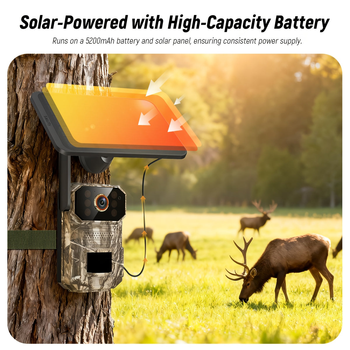Solar Wildlife Monitoring Camera, Cellular Trail Camera with Listed 1920P Video, PIR Motion Sensor, Infrared Night Vision, Two-Way Voice and Remote Access