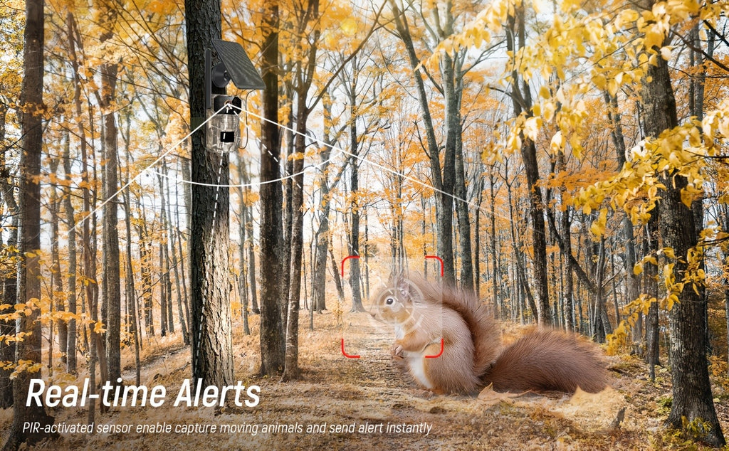 4G LTE Cellular Tracking Camera in Camouflage, Listed 1440P Video, USB and Solar Charging, Night Vision and Two-Way Audio in One- or Three-Camera Options
