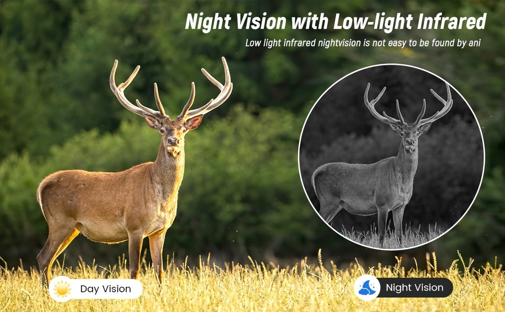 4G LTE Cellular Tracking Camera in Camouflage, Listed 1440P Video, USB and Solar Charging, Night Vision and Two-Way Audio in One- or Three-Camera Options