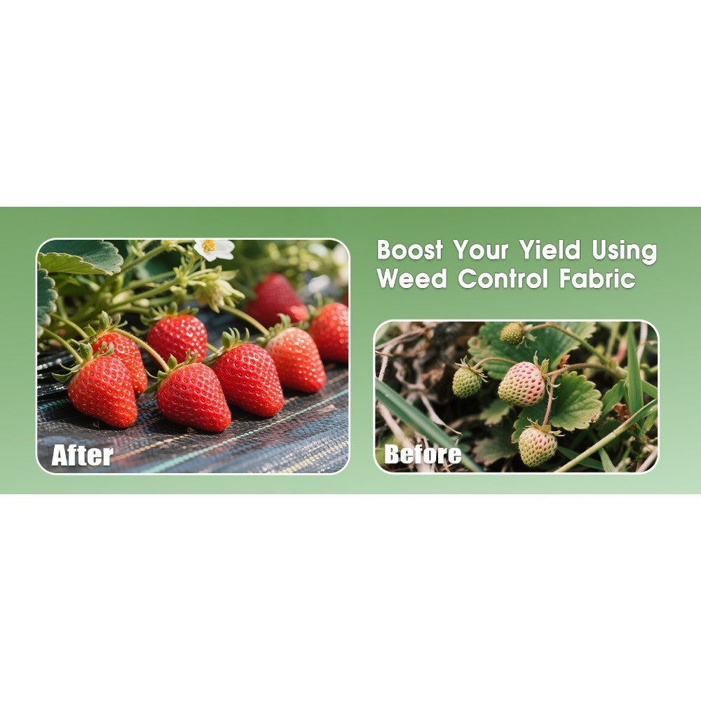 Weed Barrier Fabric Rolls with Green Alignment Lines, 5 x 100 ft, 6 x 100 ft, 8 x 100 ft and 6 x 300 ft Options for Garden Ground Cover