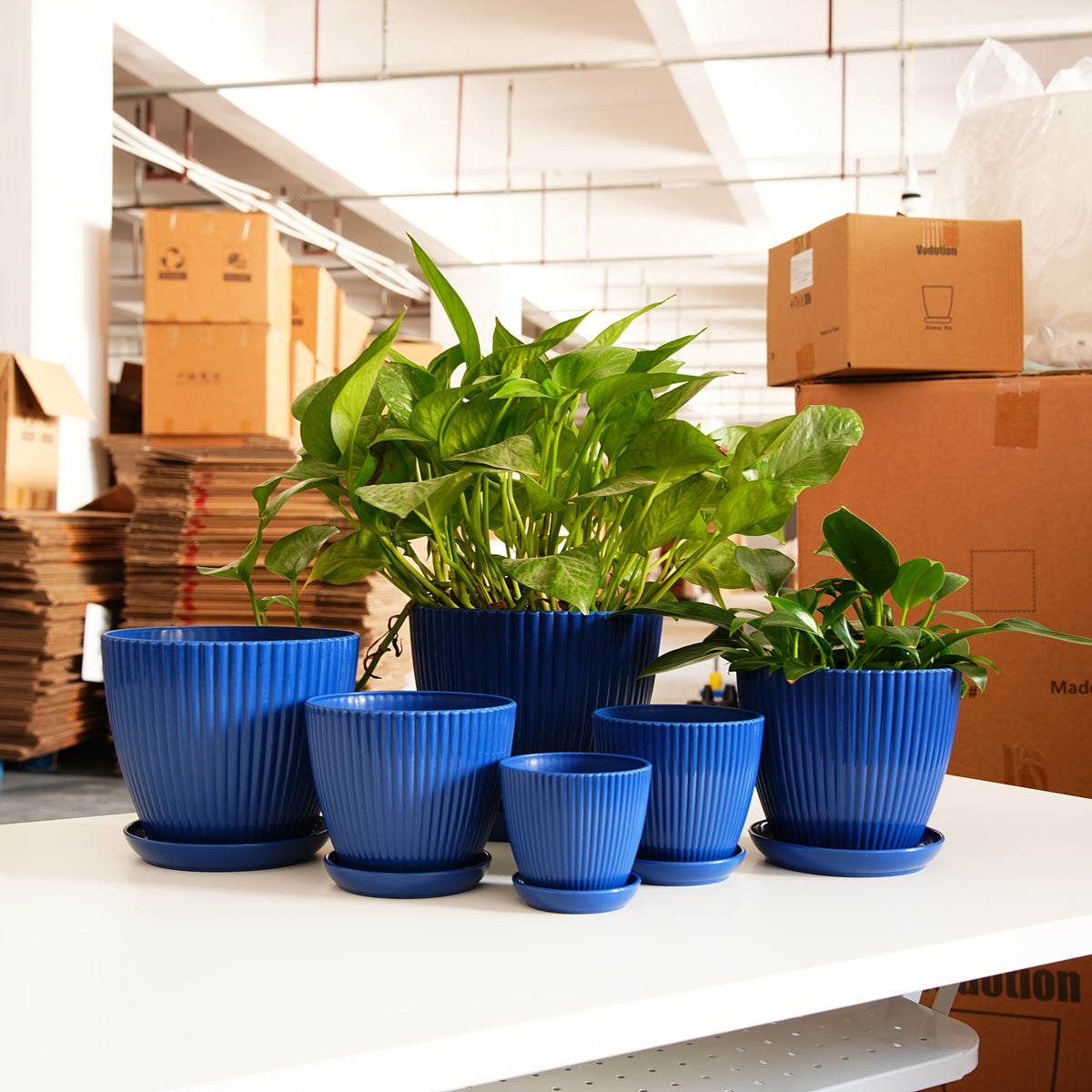 Resin Planter Pots Set with Listed Six-Pack Assortment and 3.5 to 7.5-Inch Size Labels, White, Light Green or Dark Blue Options for Indoor Plant Displays