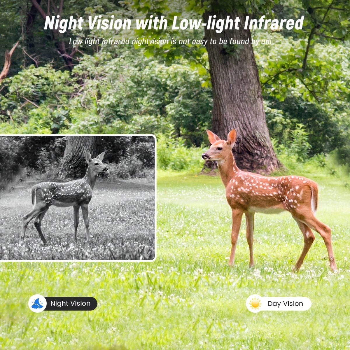 4G LTE Cellular Tracking Camera in Camouflage, Listed 1440P Video, USB and Solar Charging, Night Vision and Two-Way Audio in One- or Three-Camera Options