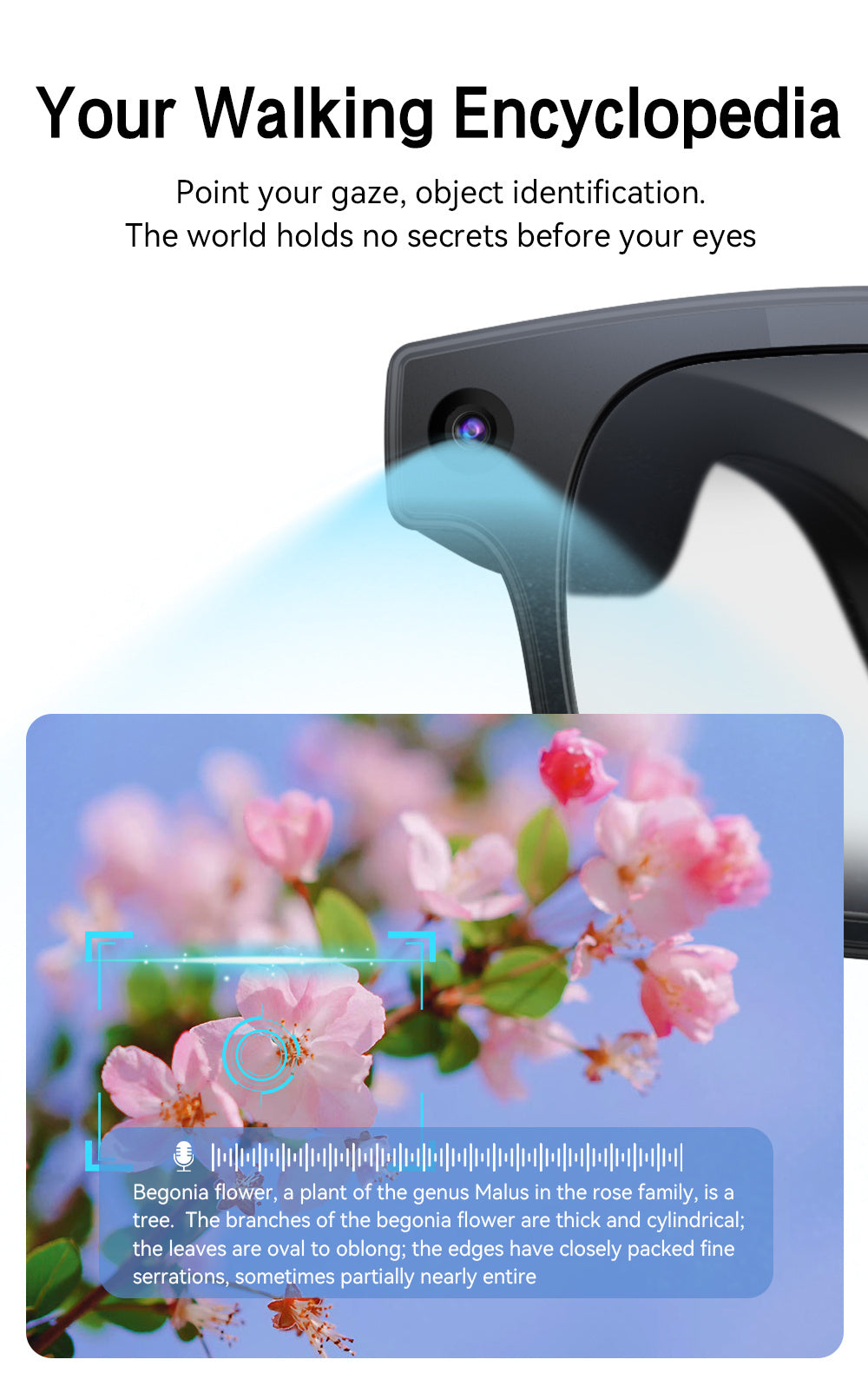 8MP-Labeled AI Camera Smart Glasses in Black with Video and Audio Recording, Bluetooth Calls and Music, Touch Controls and Listed Translation Features