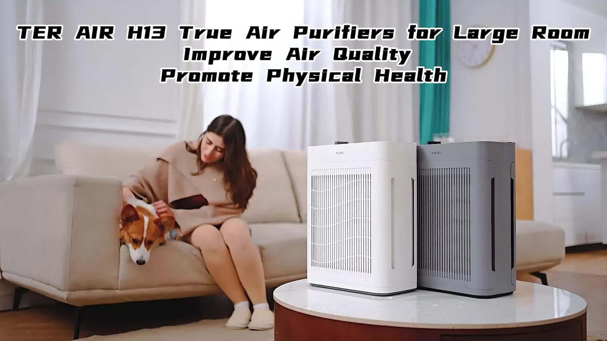 Air Purifier for Home Large Room Up to 2500 Sq Ft, H13 HEPA Air Cleaner with Washable Double-Sided Filters and PM2.5 Sensor, 22dB Quiet Air Purification for Bedroom, Pets, Dust, Smoke and Allergies