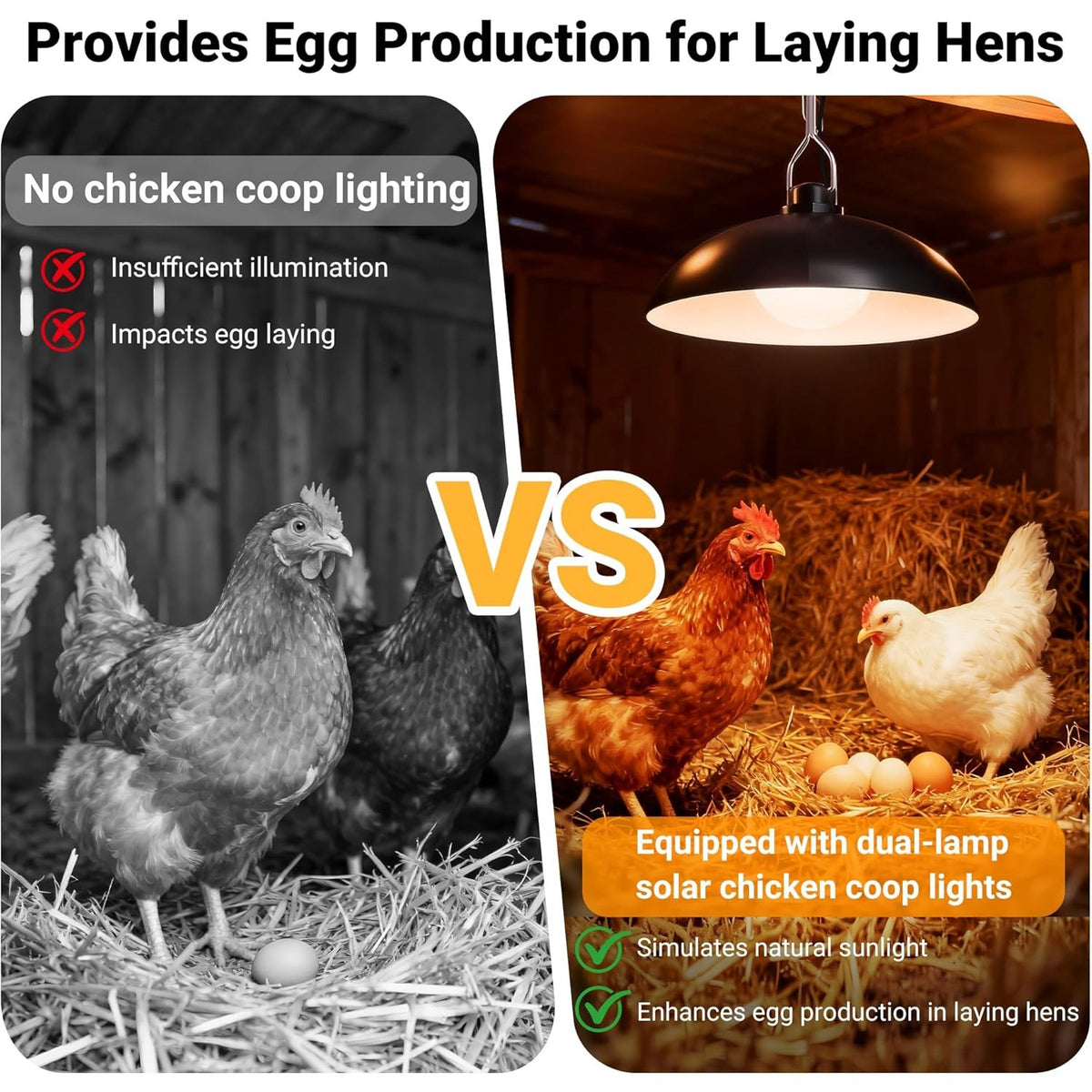 Solar Chicken Coop Pendant Light Set with Two Lamps, Remote, 3/5/8-Hour Timer, Listed 2400mAh Battery and 16.4ft Cord in White Light or Warm Light Options