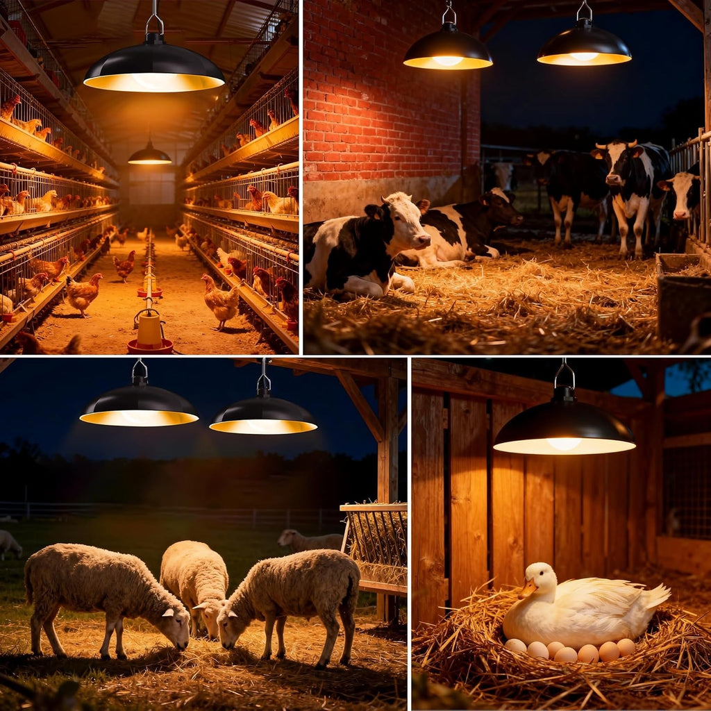 Solar Chicken Coop Pendant Light Set with Two Lamps, Remote, 3/5/8-Hour Timer, Listed 2400mAh Battery and 16.4ft Cord in White Light or Warm Light Options