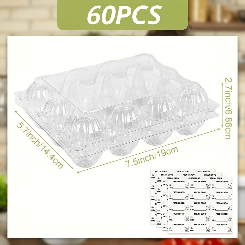 Clear Plastic Egg Cartons 60-Pack by Shindel, Reusable Blank 12-Egg Containers for Fresh Egg Collection, Home Storage and Farm Market Display